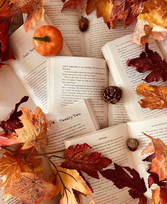 October 2024 Events Summary - KODDY